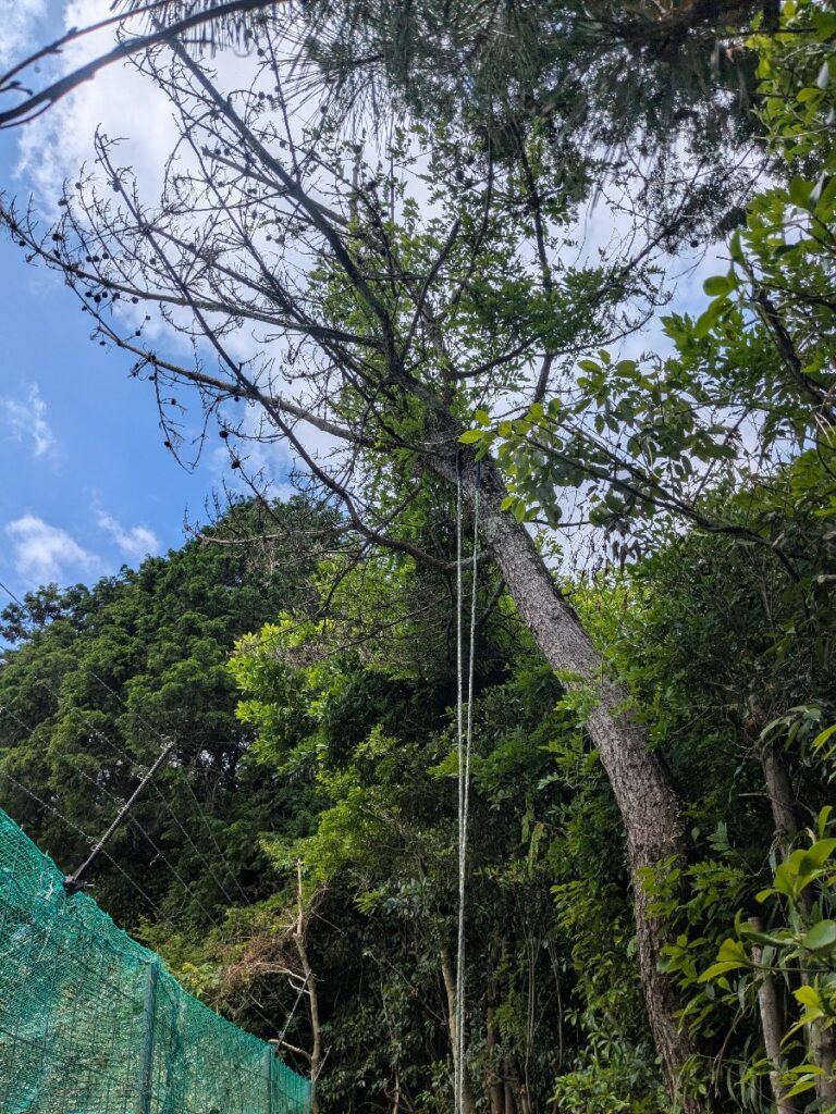 作業前