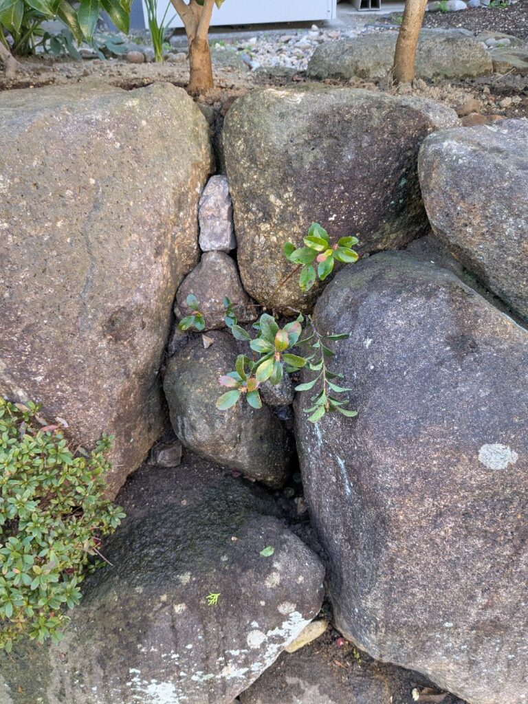 修繕・造り替え