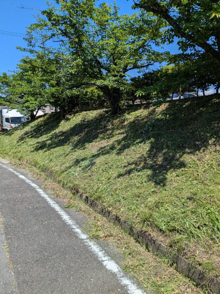 草刈り